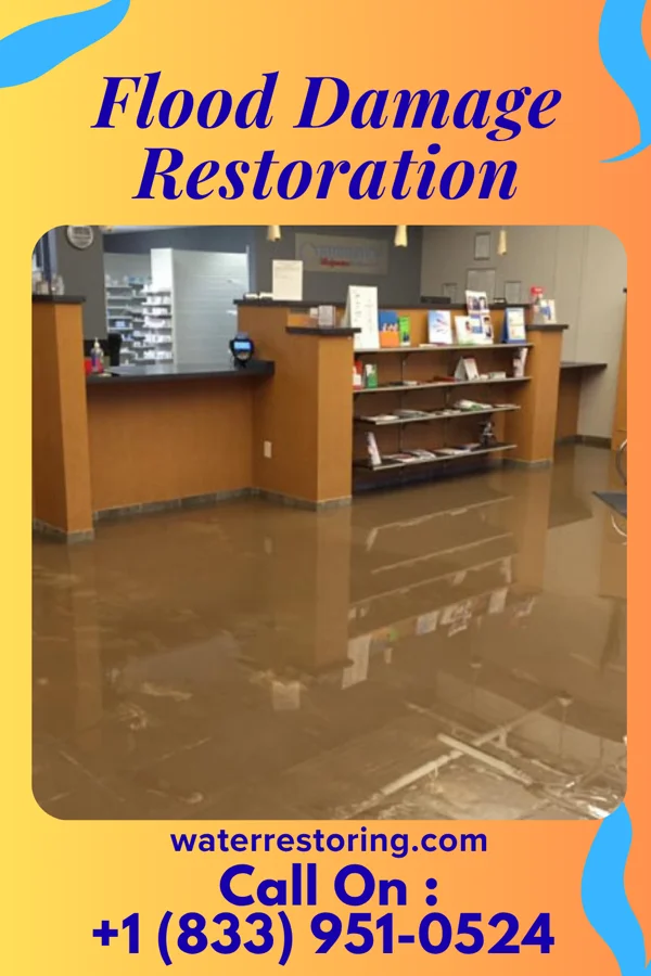 Flood Damage Restoration in Lowndesville, SC