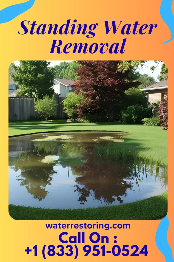 Standing Water Removal in Lowndesville, SC